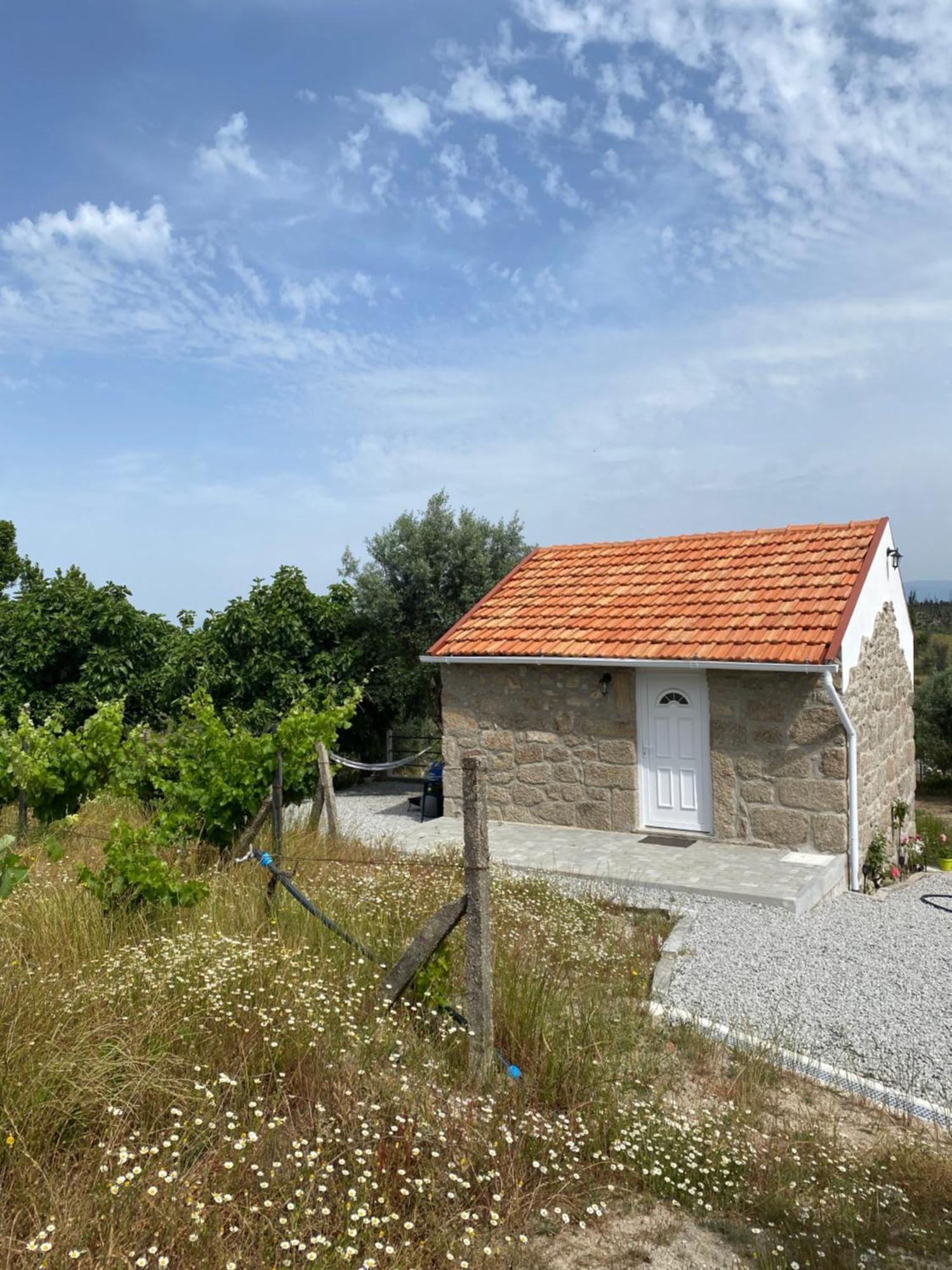Casa De Pedra Em Vinha No Dao Villa Nelas Luaran gambar